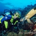 turtle_green_er_h_0705_png1052.jpg